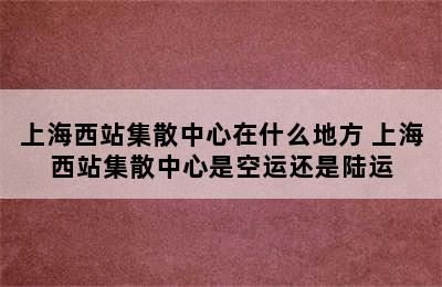 上海西站集散中心在什么地方 上海西站集散中心是空运还是陆运